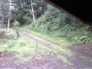 長野県菅平高原 ゆたか山荘 東側(坂下) 2025/08/06 14:30