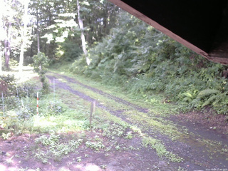 長野県菅平高原 ゆたか山荘 東側(坂下) 2025/08/06 14:45