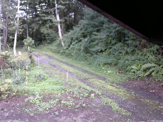 長野県菅平高原 ゆたか山荘 東側(坂下) 2025/08/06 15:00