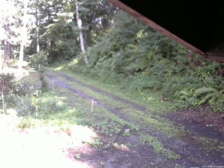 長野県菅平高原 ゆたか山荘 東側(坂下) 2025/08/06 15:15