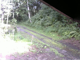 長野県菅平高原 ゆたか山荘 東側(坂下) 2025/08/06 15:45