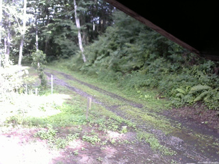 長野県菅平高原 ゆたか山荘 東側(坂下) 2025/08/06 16:00