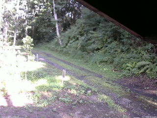 長野県菅平高原 ゆたか山荘 東側(坂下) 2025/08/06 16:15