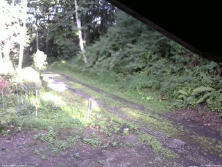 長野県菅平高原 ゆたか山荘 東側(坂下) 2025/08/06 17:00