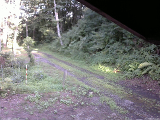 長野県菅平高原 ゆたか山荘 東側(坂下) 2025/08/06 17:15