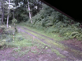 長野県菅平高原 ゆたか山荘 東側(坂下) 2025/08/06 17:45