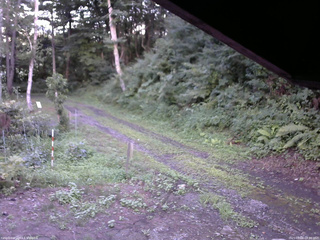 長野県菅平高原 ゆたか山荘 東側(坂下) 2025/08/06 18:00