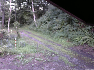 長野県菅平高原 ゆたか山荘 東側(坂下) 2025/08/06 18:15