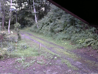 長野県菅平高原 ゆたか山荘 東側(坂下) 2025/08/06 18:30