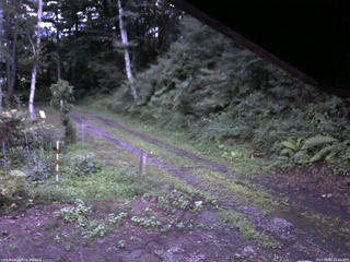 長野県菅平高原 ゆたか山荘 東側(坂下) 2025/08/06 18:45