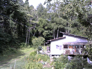 長野県菅平高原 ゆたか山荘 西側(坂上) 2025/08/06 07:45