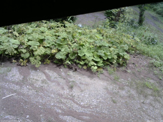 長野県菅平高原 ゆたか山荘 駐車場 2025/08/06 10:15
