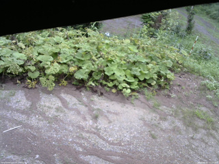 長野県菅平高原 ゆたか山荘 駐車場 2025/08/06 12:15