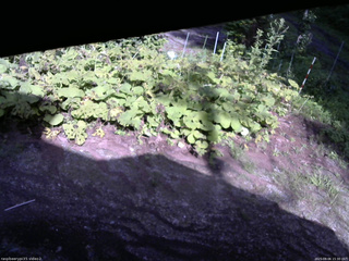 長野県菅平高原 ゆたか山荘 駐車場 2025/08/06 15:30