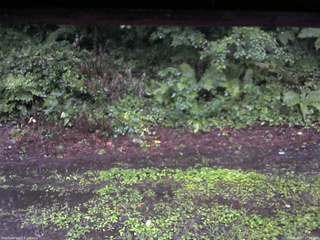 長野県菅平高原 ゆたか山荘 南側 2025/08/07 07:00