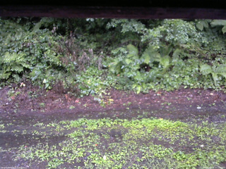 長野県菅平高原 ゆたか山荘 南側 2025/08/07 07:15