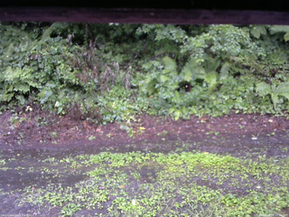 長野県菅平高原 ゆたか山荘 南側 2025/08/07 07:30