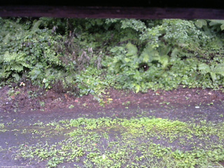 長野県菅平高原 ゆたか山荘 南側 2025/08/07 09:45