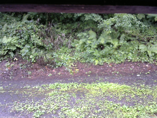 長野県菅平高原 ゆたか山荘 南側 2025/08/07 10:00