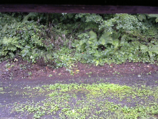 長野県菅平高原 ゆたか山荘 南側 2025/08/07 11:00