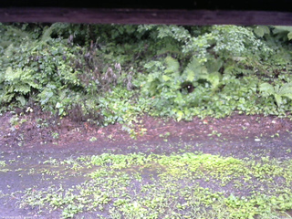 長野県菅平高原 ゆたか山荘 南側 2025/08/07 12:00