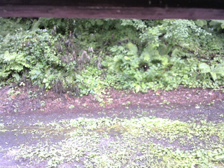 長野県菅平高原 ゆたか山荘 南側 2025/08/07 12:45