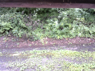 長野県菅平高原 ゆたか山荘 南側 2025/08/07 13:30