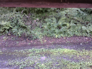 長野県菅平高原 ゆたか山荘 南側 2025/08/07 13:45