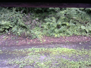 長野県菅平高原 ゆたか山荘 南側 2025/08/07 14:00