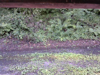 長野県菅平高原 ゆたか山荘 南側 2025/08/07 14:15