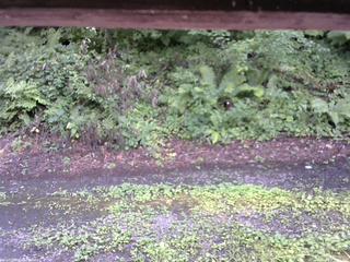 長野県菅平高原 ゆたか山荘 南側 2025/08/07 14:30