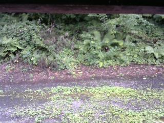 長野県菅平高原 ゆたか山荘 南側 2025/08/07 14:45