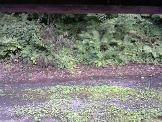 長野県菅平高原 ゆたか山荘 南側 2025/08/07 15:00