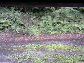 長野県菅平高原 ゆたか山荘 南側 2025/08/07 15:15