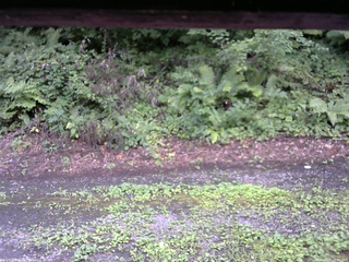 長野県菅平高原 ゆたか山荘 南側 2025/08/07 15:30