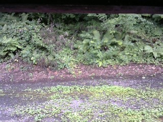 長野県菅平高原 ゆたか山荘 南側 2025/08/07 15:45