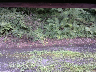 長野県菅平高原 ゆたか山荘 南側 2025/08/07 16:00