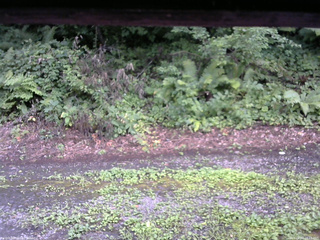 長野県菅平高原 ゆたか山荘 南側 2025/08/07 16:15