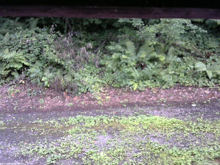 長野県菅平高原 ゆたか山荘 南側 2025/08/07 16:30