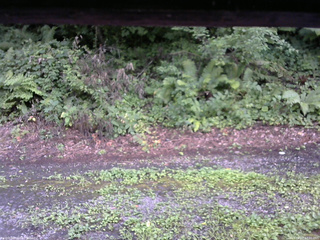 長野県菅平高原 ゆたか山荘 南側 2025/08/07 17:00