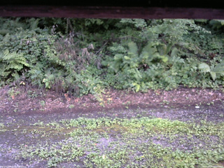 長野県菅平高原 ゆたか山荘 南側 2025/08/07 17:15