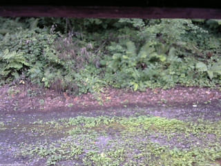 長野県菅平高原 ゆたか山荘 南側 2025/08/07 17:30