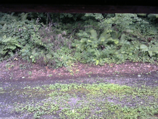 長野県菅平高原 ゆたか山荘 南側 2025/08/07 17:45