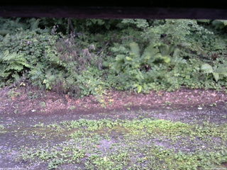 長野県菅平高原 ゆたか山荘 南側 2025/08/07 18:00