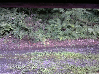 長野県菅平高原 ゆたか山荘 南側 2025/08/07 18:15