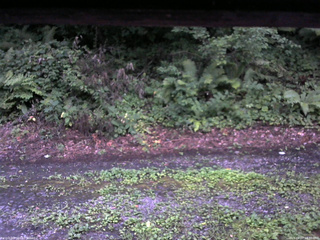 長野県菅平高原 ゆたか山荘 南側 2025/08/07 18:30