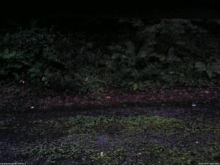 長野県菅平高原 ゆたか山荘 南側 2025/08/07 18:45