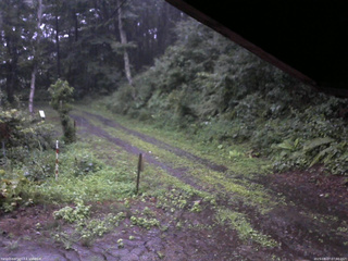 長野県菅平高原 ゆたか山荘 東側(坂下) 2025/08/07 07:00