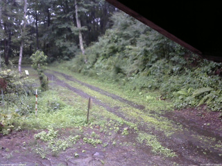 長野県菅平高原 ゆたか山荘 東側(坂下) 2025/08/07 07:15