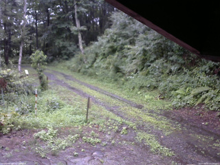 長野県菅平高原 ゆたか山荘 東側(坂下) 2025/08/07 07:30